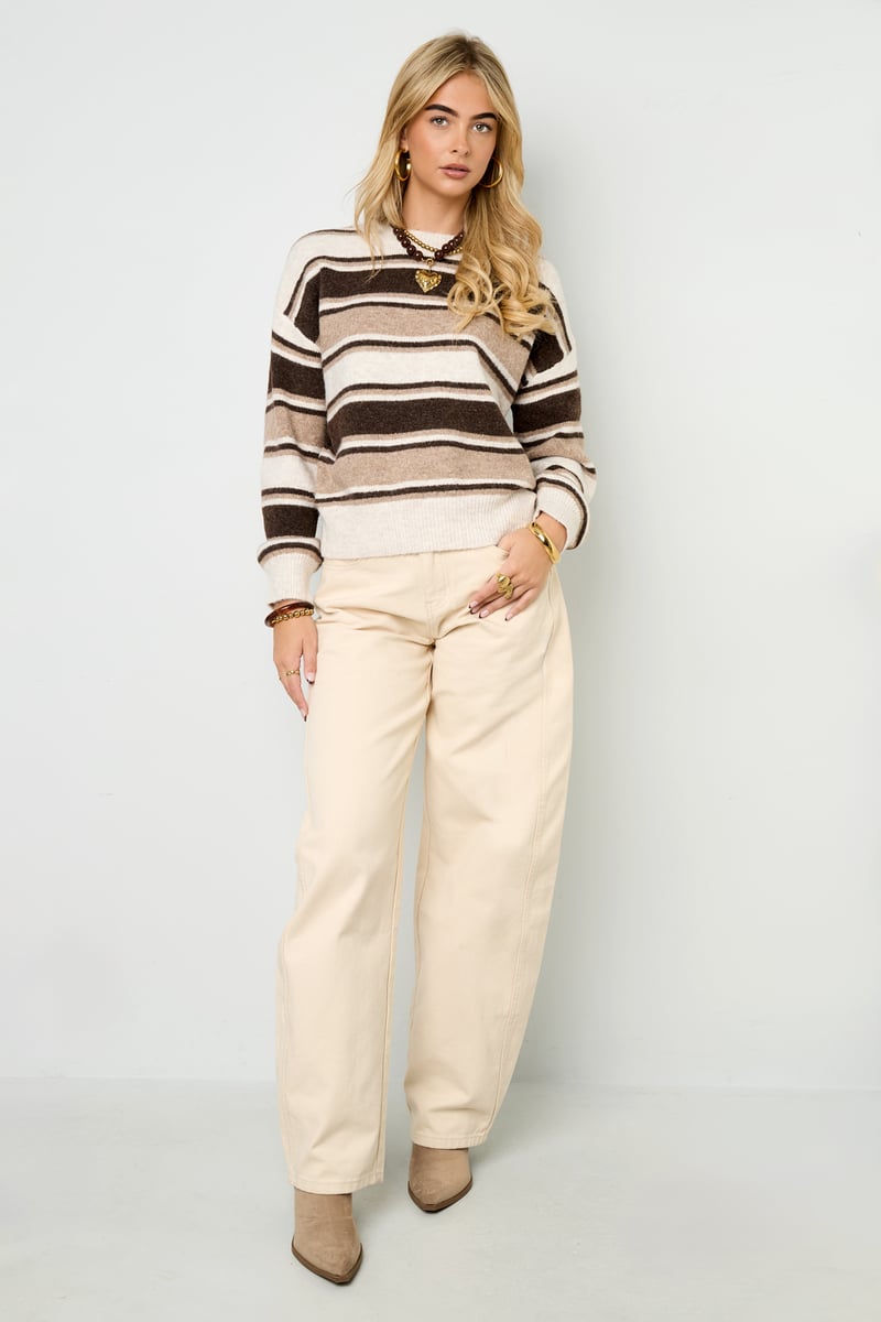 Polyestervezel (polyester) Gebreide truien Strepen Casual Herfst/Winterkleding