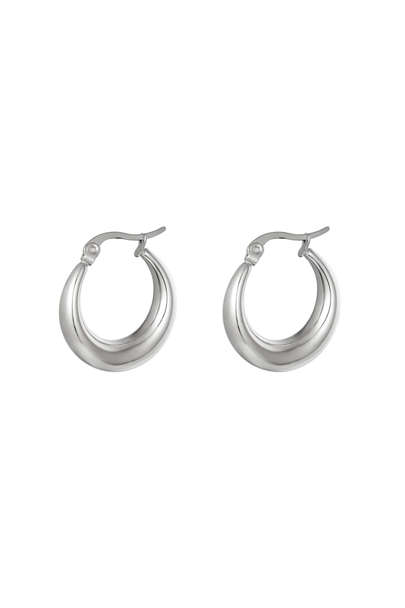 Oorbellen Arched Goud kleur Stainless Steel