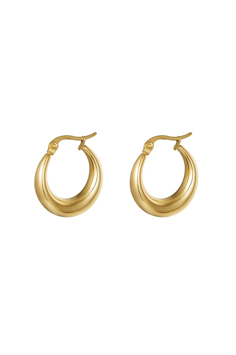 Oorbellen Arched Goud kleur Stainless Steel