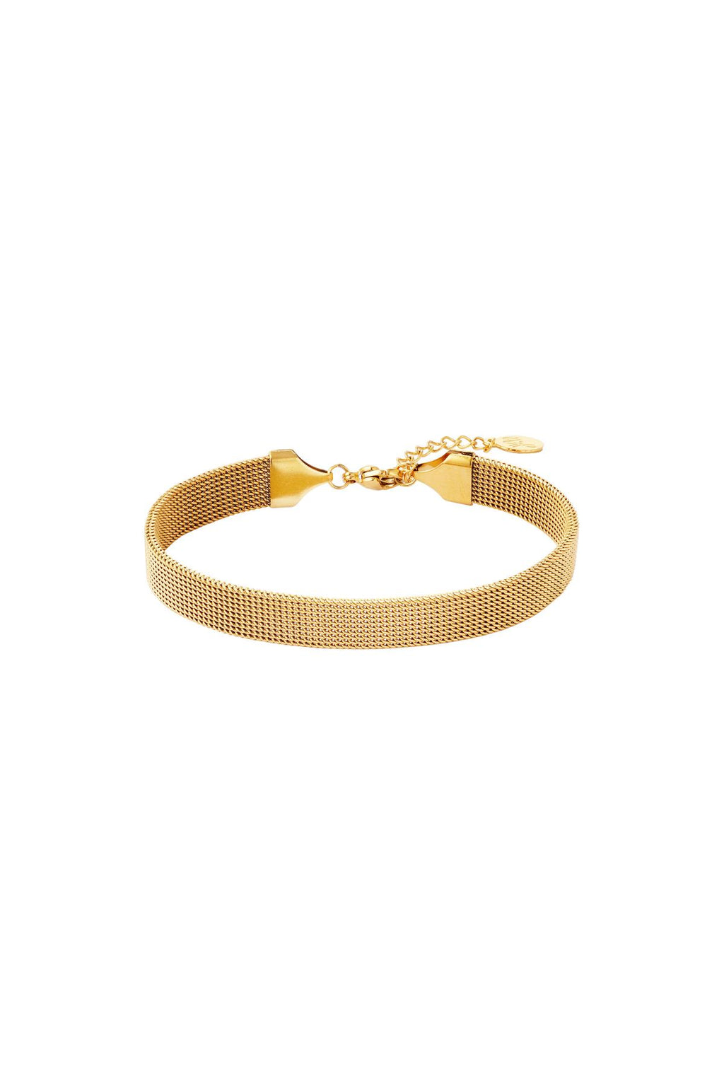 Roestvrij stalen armband Goud kleur Stainless Steel