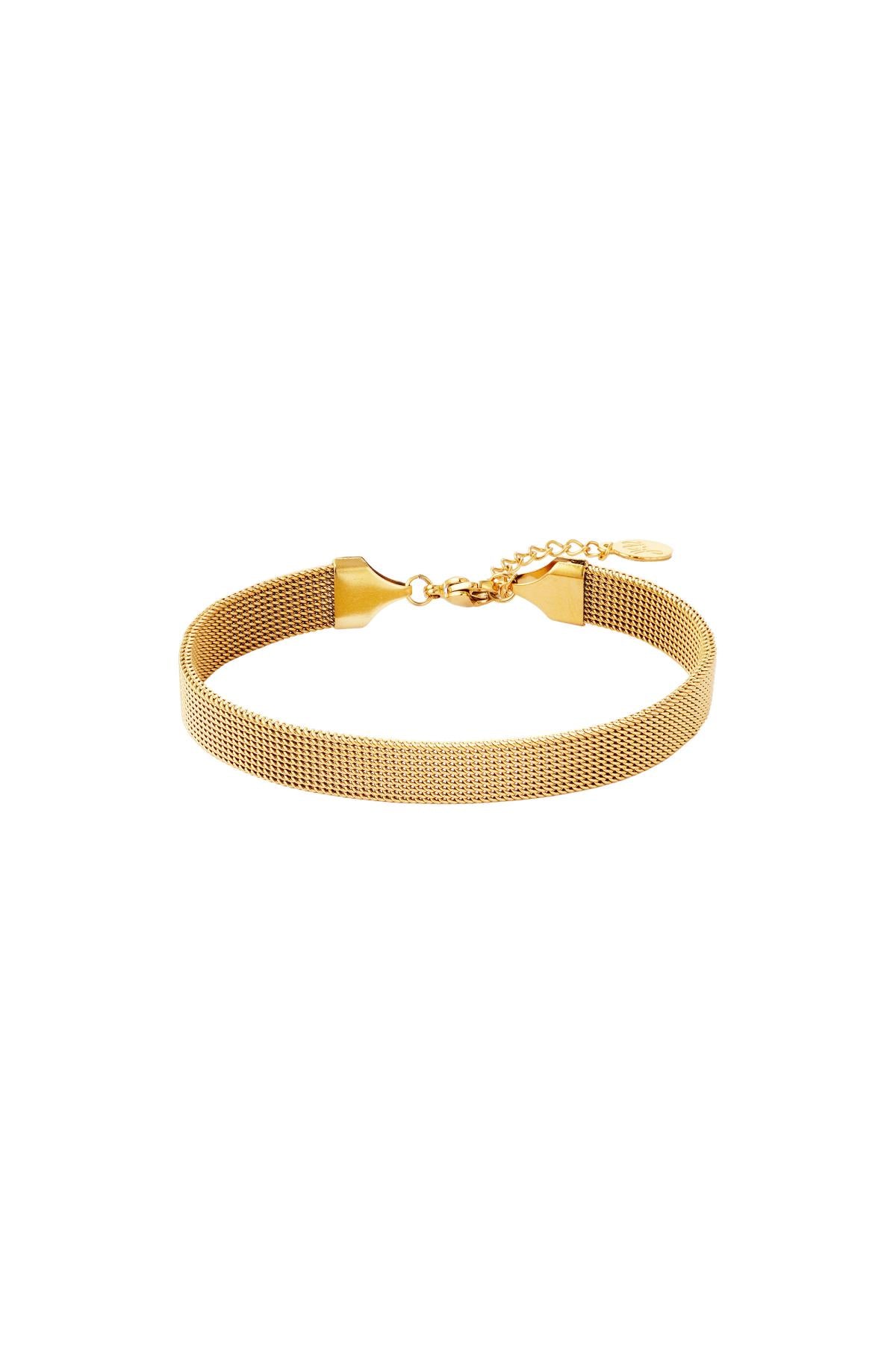 Roestvrij stalen armband Goud kleur Stainless Steel