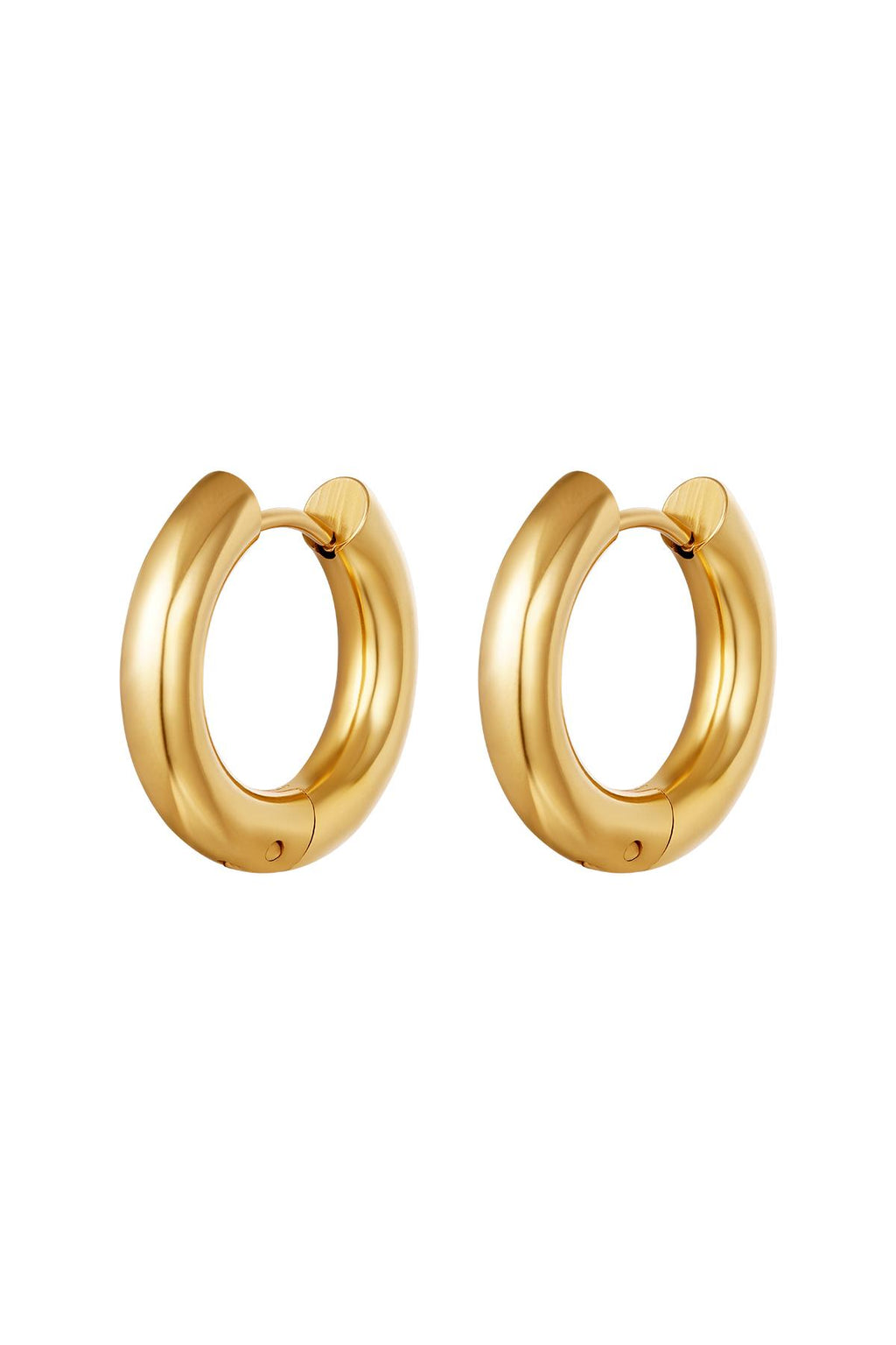 Basic creolen oorbellen - medium Goud kleur Stainless Steel