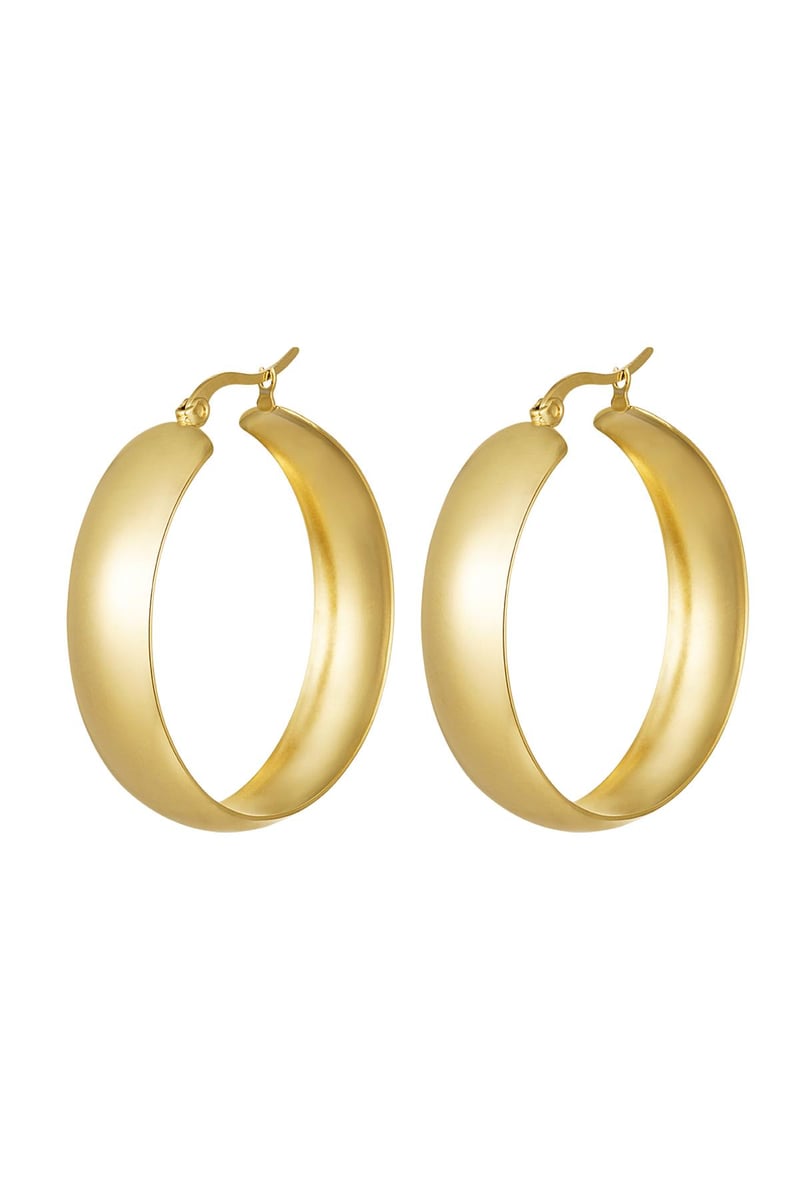 oorbellen stainless steel chique