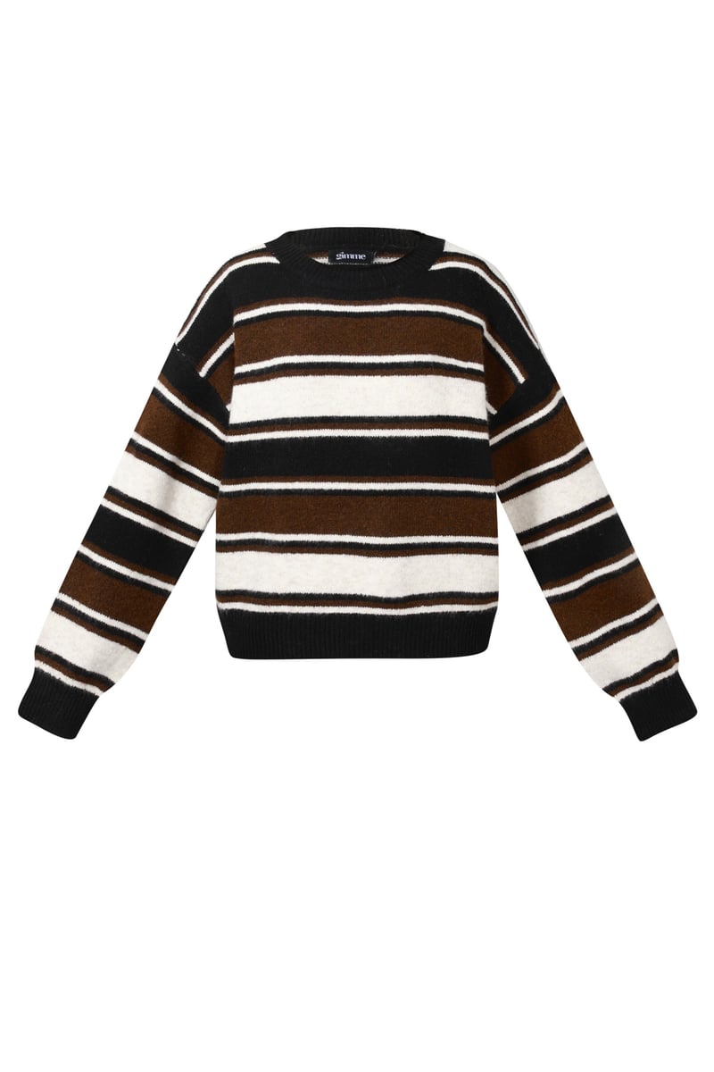 Polyestervezel (polyester) Gebreide truien Strepen Casual Herfst/Winterkleding